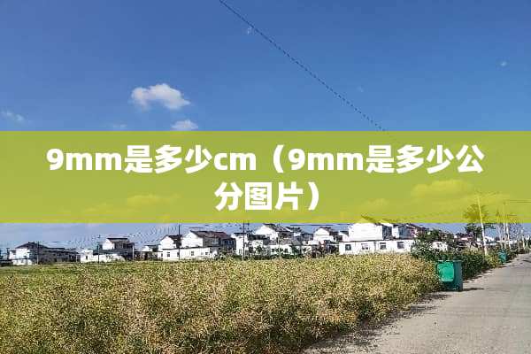 9mm是多少cm（9mm是多少公分图片）