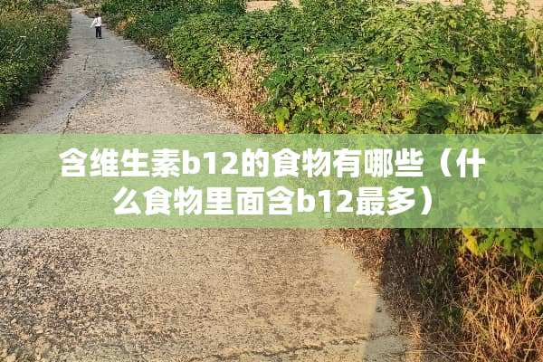 含维生素b12的食物有哪些（什么食物里面含b12最多）