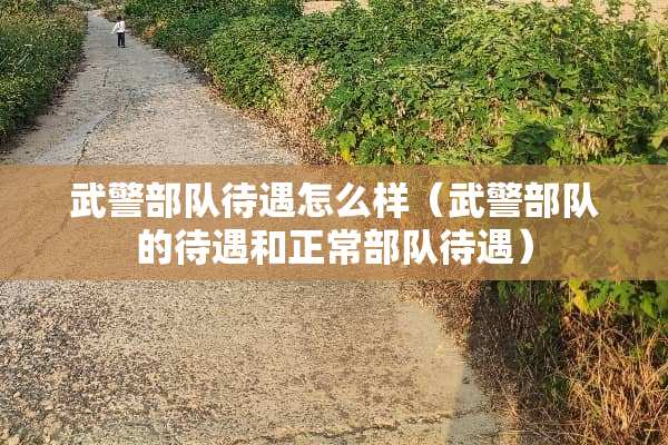 ****待遇怎么样(****的待遇和正常**待遇) ****待遇怎么样(****的待遇和正常**待遇)