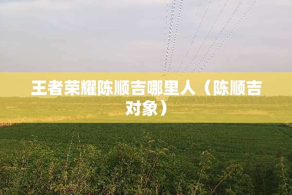 王者荣耀陈顺吉哪里人（陈顺吉对象）