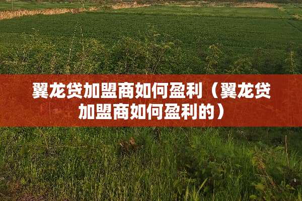 翼龙贷加盟商如何盈利（翼龙贷加盟商如何盈利的）