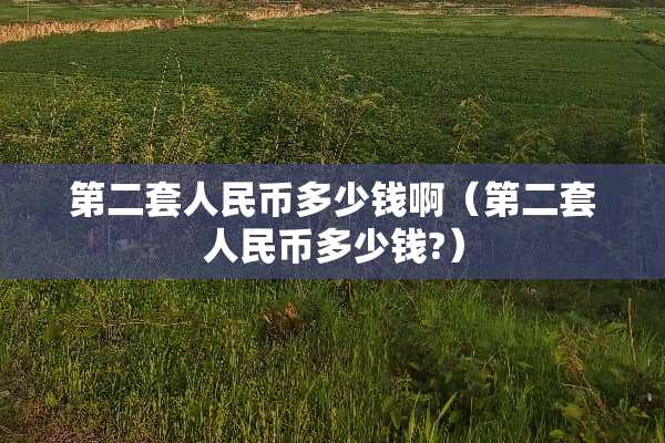 第二套人民币多少钱啊(第二套人民币多少钱?) 第二套人民币多少钱啊(第二套人民币多少钱?)