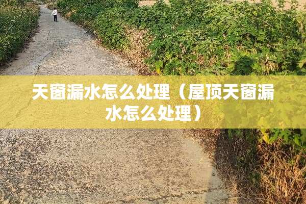 天窗漏水怎么处理（屋顶天窗漏水怎么处理）