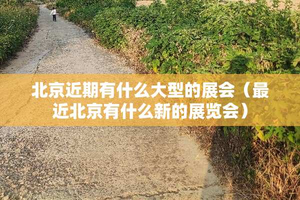 北京近期有什么大型的展会（最近北京有什么新的展览会）