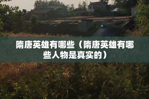 隋唐英雄有哪些（隋唐英雄有哪些人物是真实的）