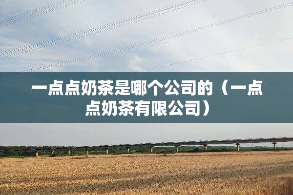 一点点奶茶是哪个公司的（一点点奶茶有限公司）