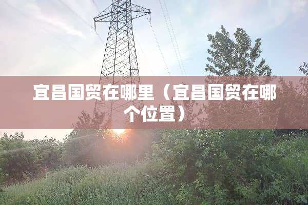宜昌国贸在哪里（宜昌国贸在哪个位置）