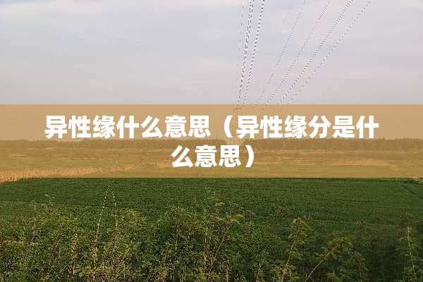 异性缘什么意思（异性缘分是什么意思）