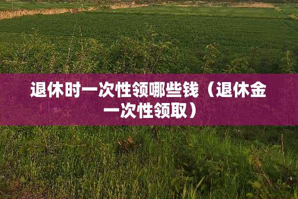 退休时一次性领哪些钱（退休金一次性领取）