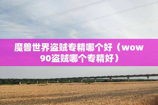 魔兽世界盗贼专精哪个好（wow90盗贼哪个专精好）