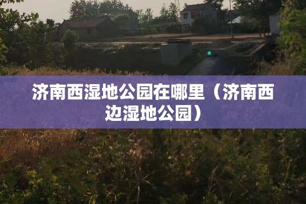 济南西湿地公园在哪里（济南西边湿地公园）