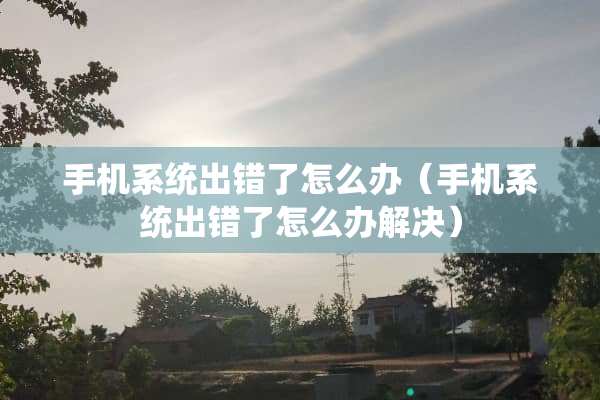 手机系统出错了怎么办（手机系统出错了怎么办解决）