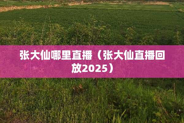 张大仙哪里直播（张大仙直播回放2025）