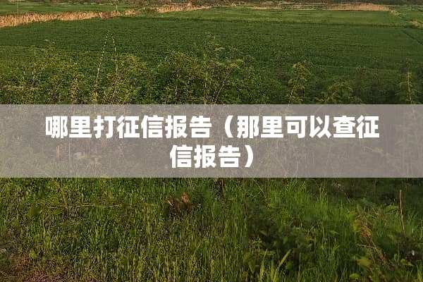 哪里打征信报告（那里可以查征信报告）