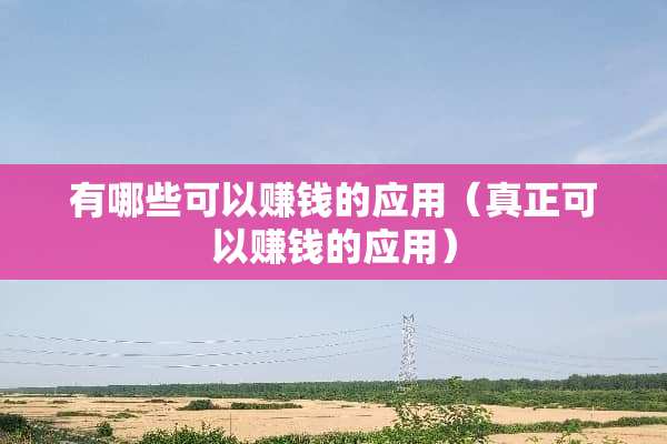 有哪些可以赚钱的应用（真正可以赚钱的应用）