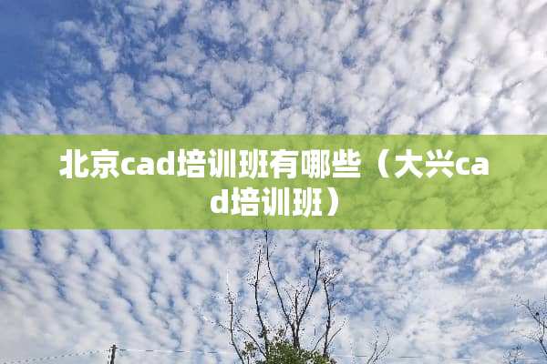 北京cad培训班有哪些（大兴cad培训班）