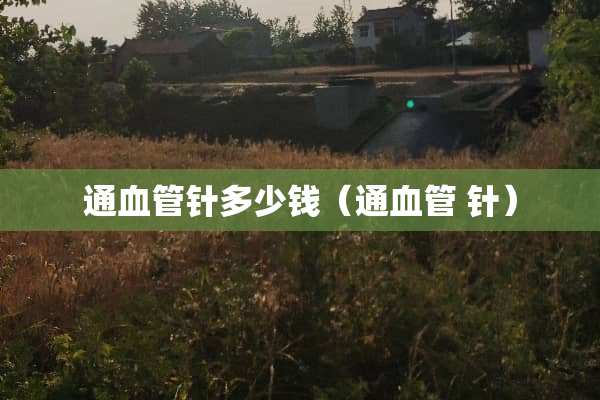 通血管针多少钱（通血管 针）