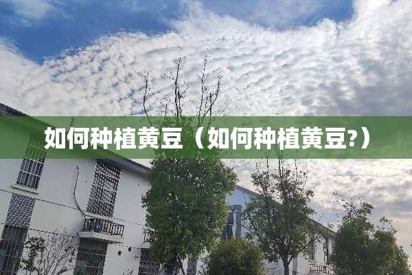 如何种植黄豆（如何种植黄豆?）