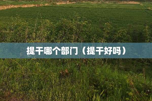 提干哪个部门（提干好吗）