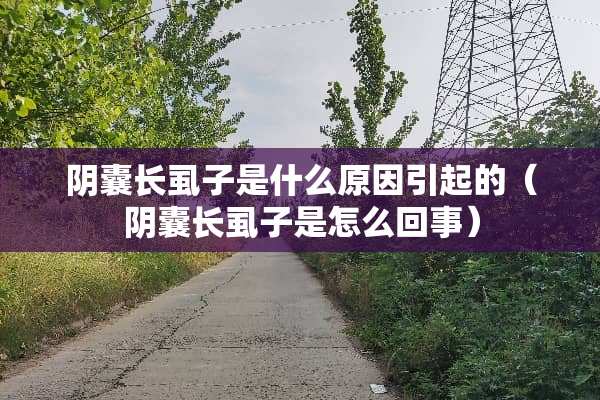 *囊长虱子是什么原因引起的(*囊长虱子是怎么回事) *囊长虱子是什么原因引起的(*囊长虱子是怎么回事)