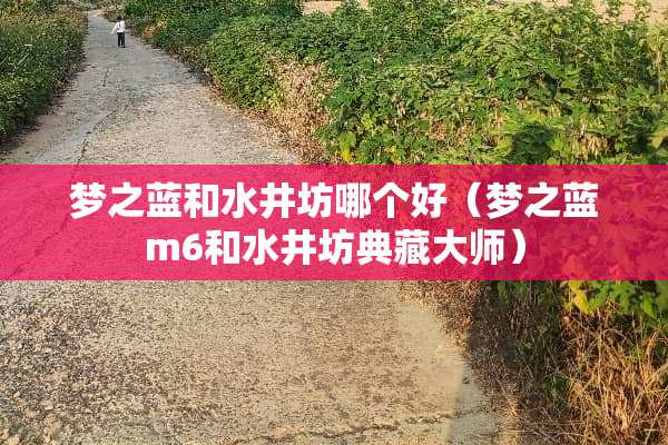 梦之蓝和水井坊哪个好（梦之蓝m6和水井坊典藏大师）