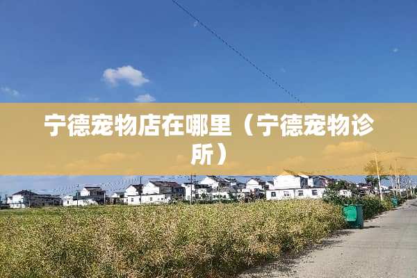 宁德宠物店在哪里（宁德宠物诊所）