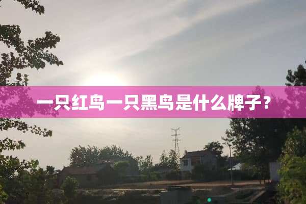 一只红鸟一只黑鸟是什么牌子？