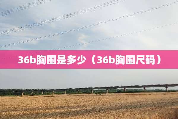 36b胸围是多少（36b胸围尺码）