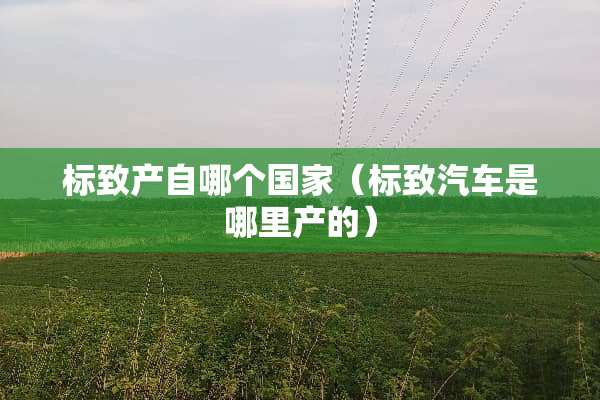 标致产自哪个国家（标致汽车是哪里产的）