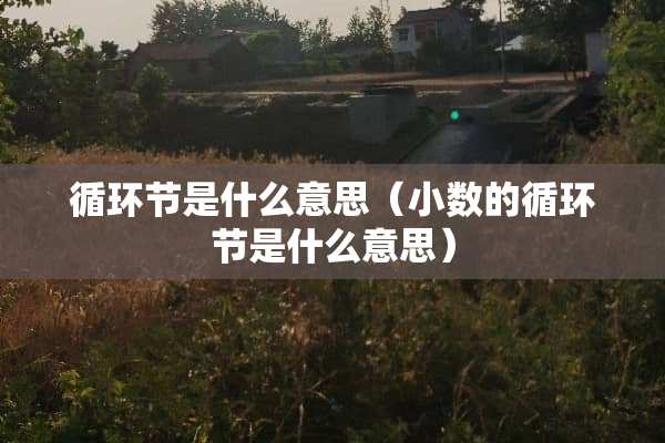 循环节是什么意思（小数的循环节是什么意思）