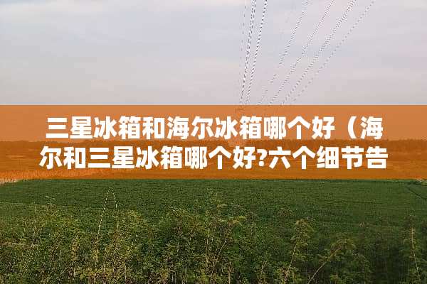三星冰箱和海尔冰箱哪个好（海尔和三星冰箱哪个好?六个细节告诉您）