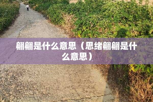 翩翩是什么意思（思绪翩翩是什么意思）
