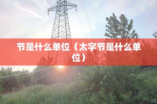 节是什么单位（太字节是什么单位）