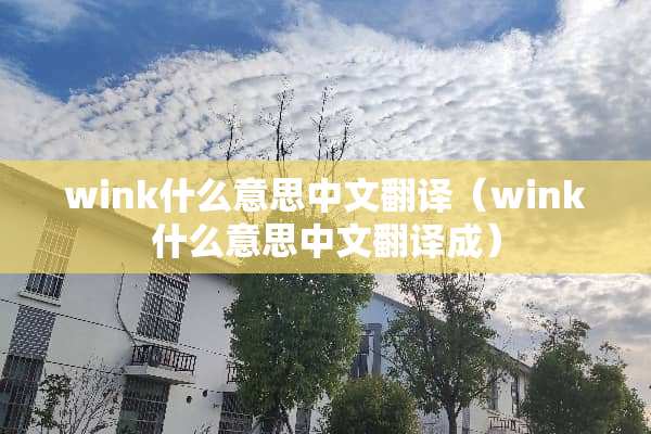 wink什么意思中文翻译（wink什么意思中文翻译成）
