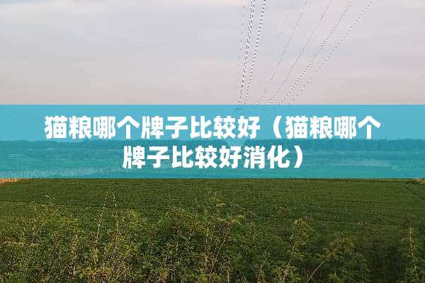猫粮哪个牌子比较好（猫粮哪个牌子比较好消化）