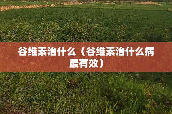 谷维素治什么（谷维素治什么病最有效）
