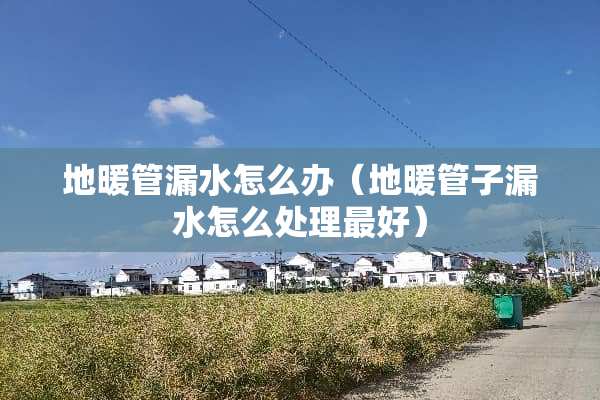 地暖管漏水怎么办（地暖管子漏水怎么处理最好）