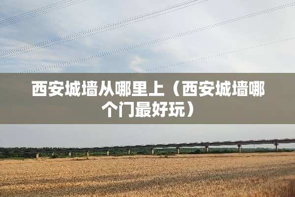西安城墙从哪里上（西安城墙哪个门最好玩）