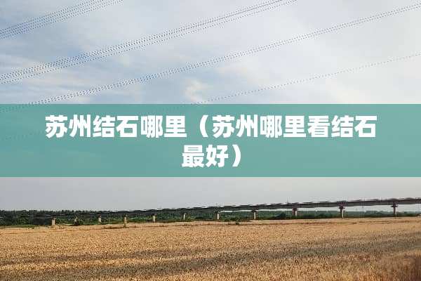 苏州结石哪里（苏州哪里看结石最好）
