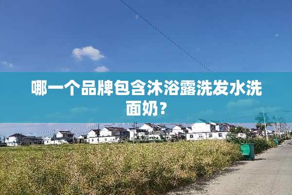 哪一个品牌包含沐浴露洗发水洗面奶？