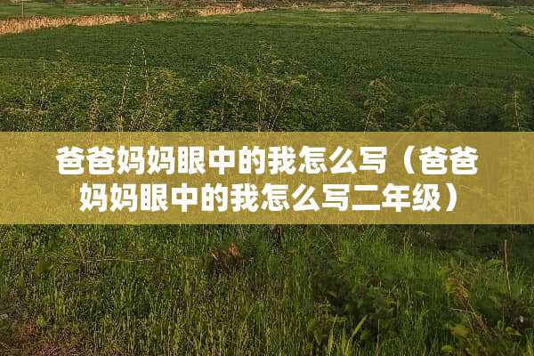爸爸妈妈眼中的我怎么写（爸爸妈妈眼中的我怎么写二年级）