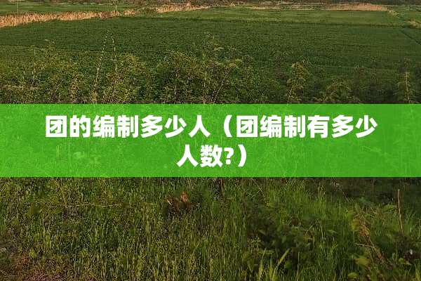团的编制多少人（团编制有多少人数?）