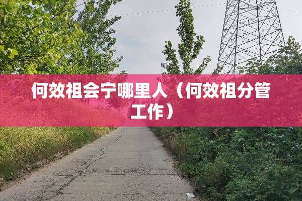 何效祖会宁哪里人（何效祖分管工作）