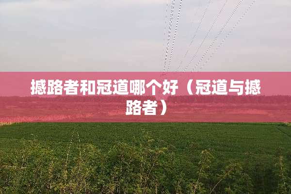 撼路者和冠道哪个好（冠道与撼路者）