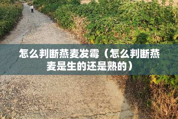 怎么判断燕麦发霉（怎么判断燕麦是生的还是熟的）
