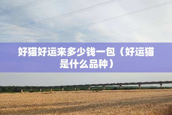 好猫好运来多少钱一包（好运猫是什么品种）
