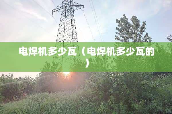 电焊机多少瓦（电焊机多少瓦的）