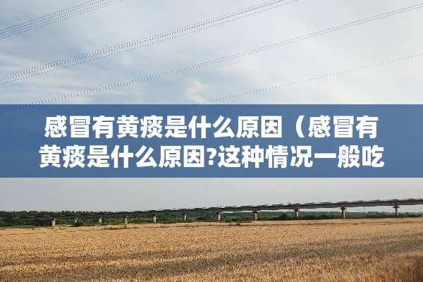 感冒有黄痰是什么原因(感冒有黄痰是什么原因?这种情况一般吃什么药好?) 感冒有黄痰是什么原因(感冒有黄痰是什么原因?这种情况一般吃什么药好?)