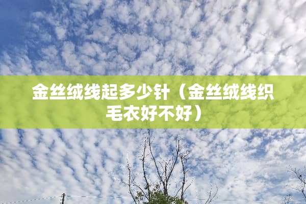 金丝绒线起多少针（金丝绒线织毛衣好不好）