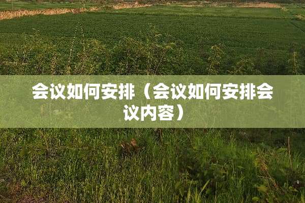 会议如何安排（会议如何安排会议内容）
